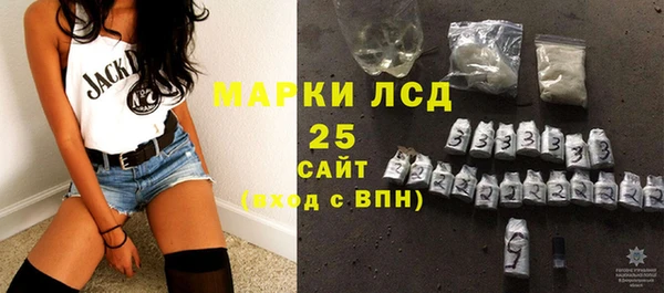 сатива Покачи