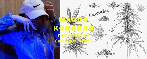 сатива Покачи