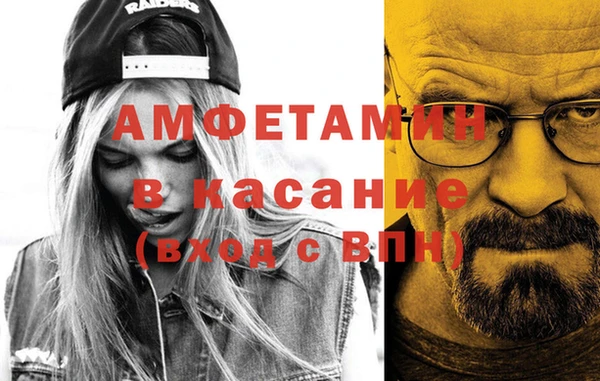 сатива Покачи