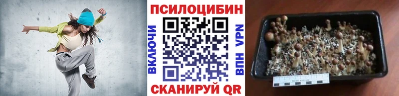 Галлюциногенные грибы мицелий  Ковылкино 